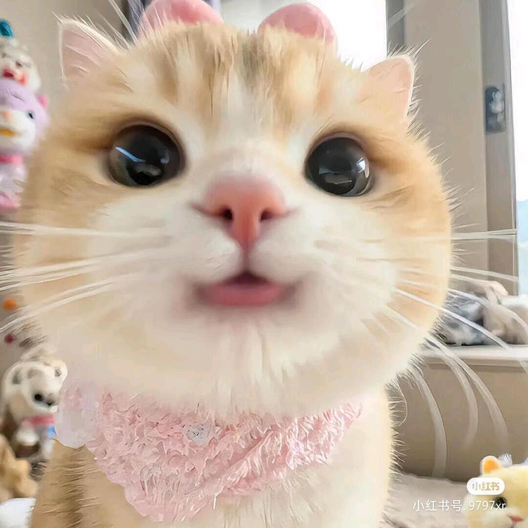 女亭ʸ