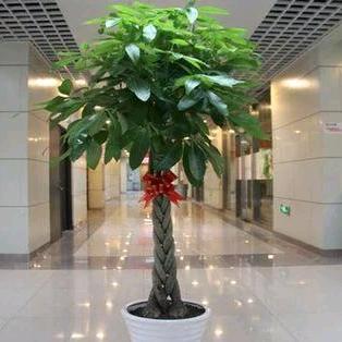 🧧风生🔑水起🧧