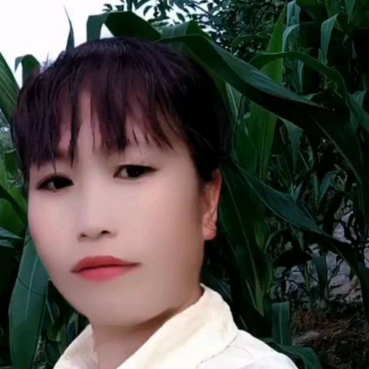 梦想，丁