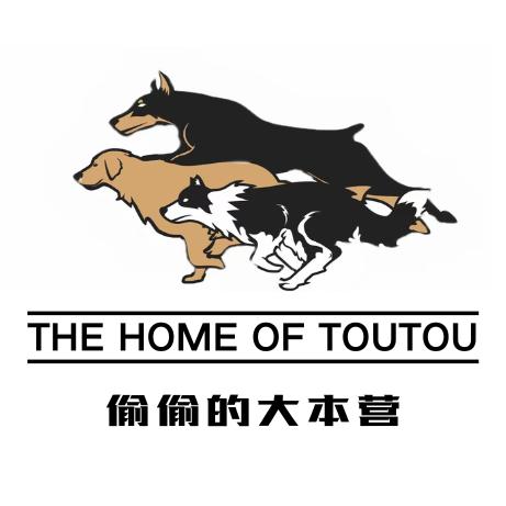 偷偷的大本营