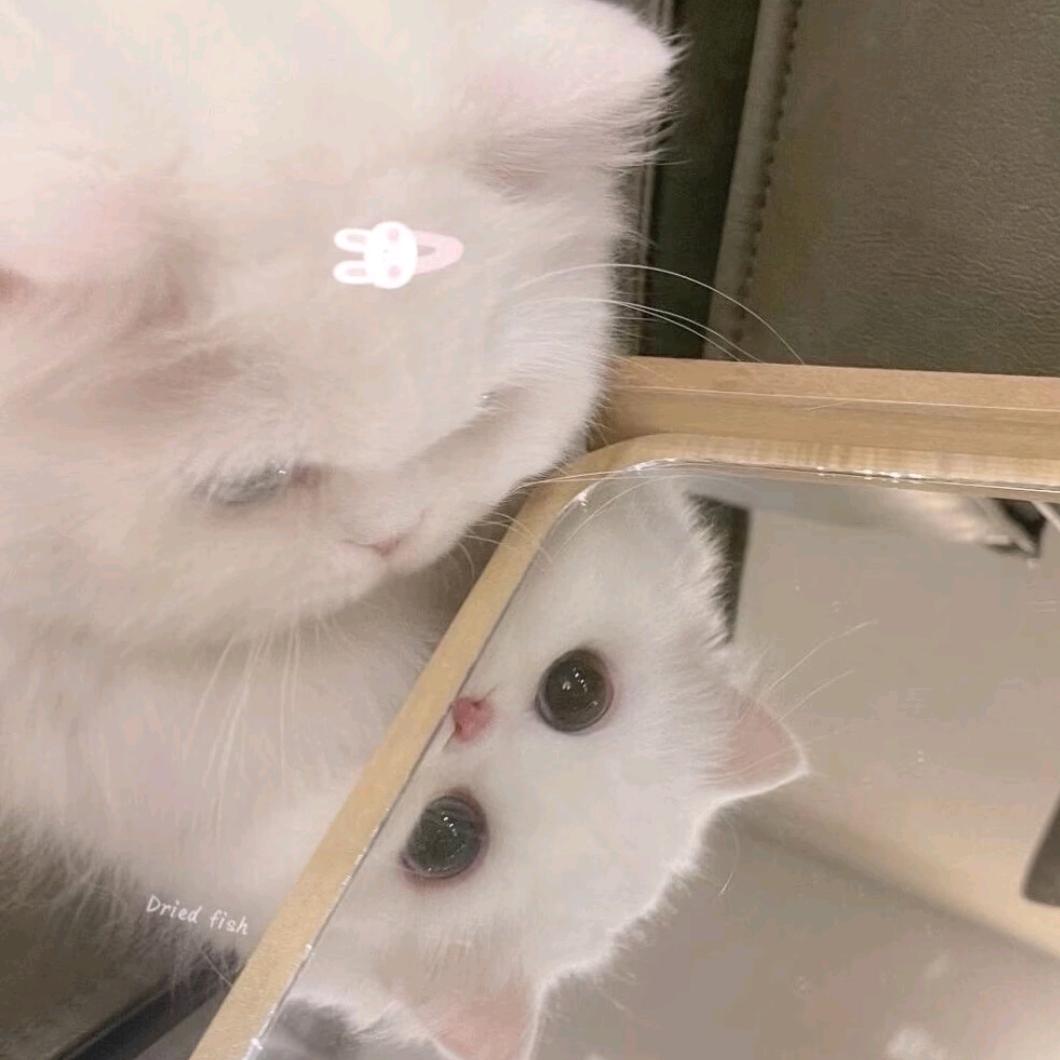 睡了还能吃