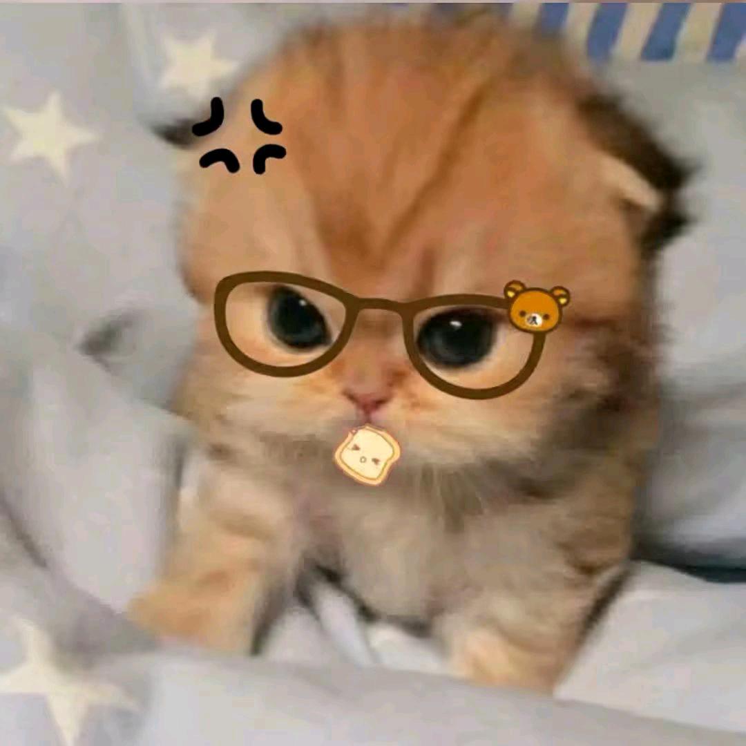 眠头像