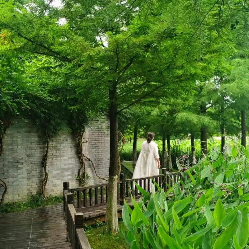 风逝。李