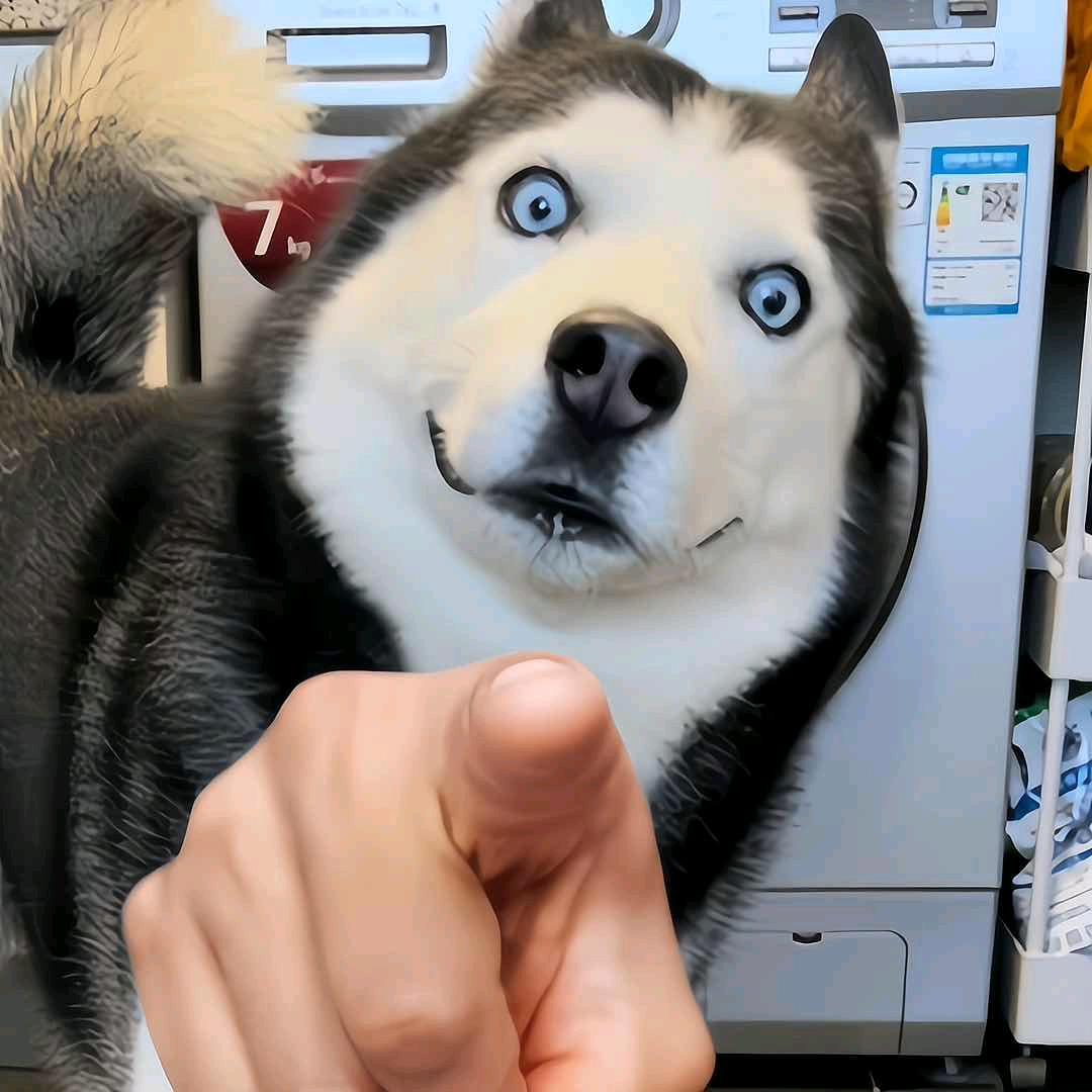 Y.H