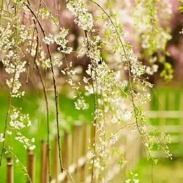 🔒上滑解锁🔒