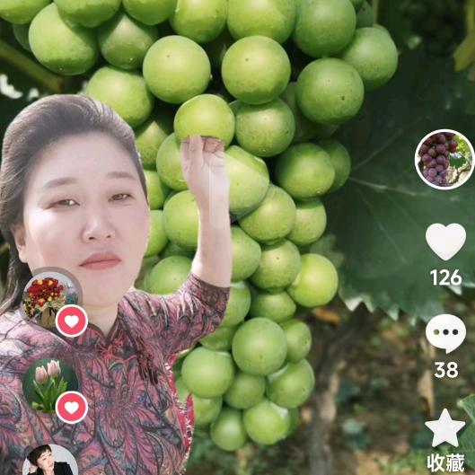 （xue）第一家葡萄园👍