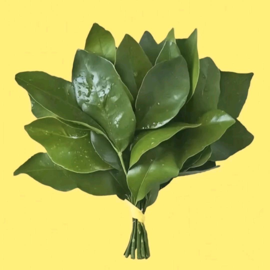 柚姐（回村日常）