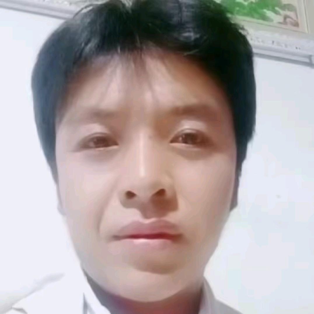 老实人Ծ‸Ծ