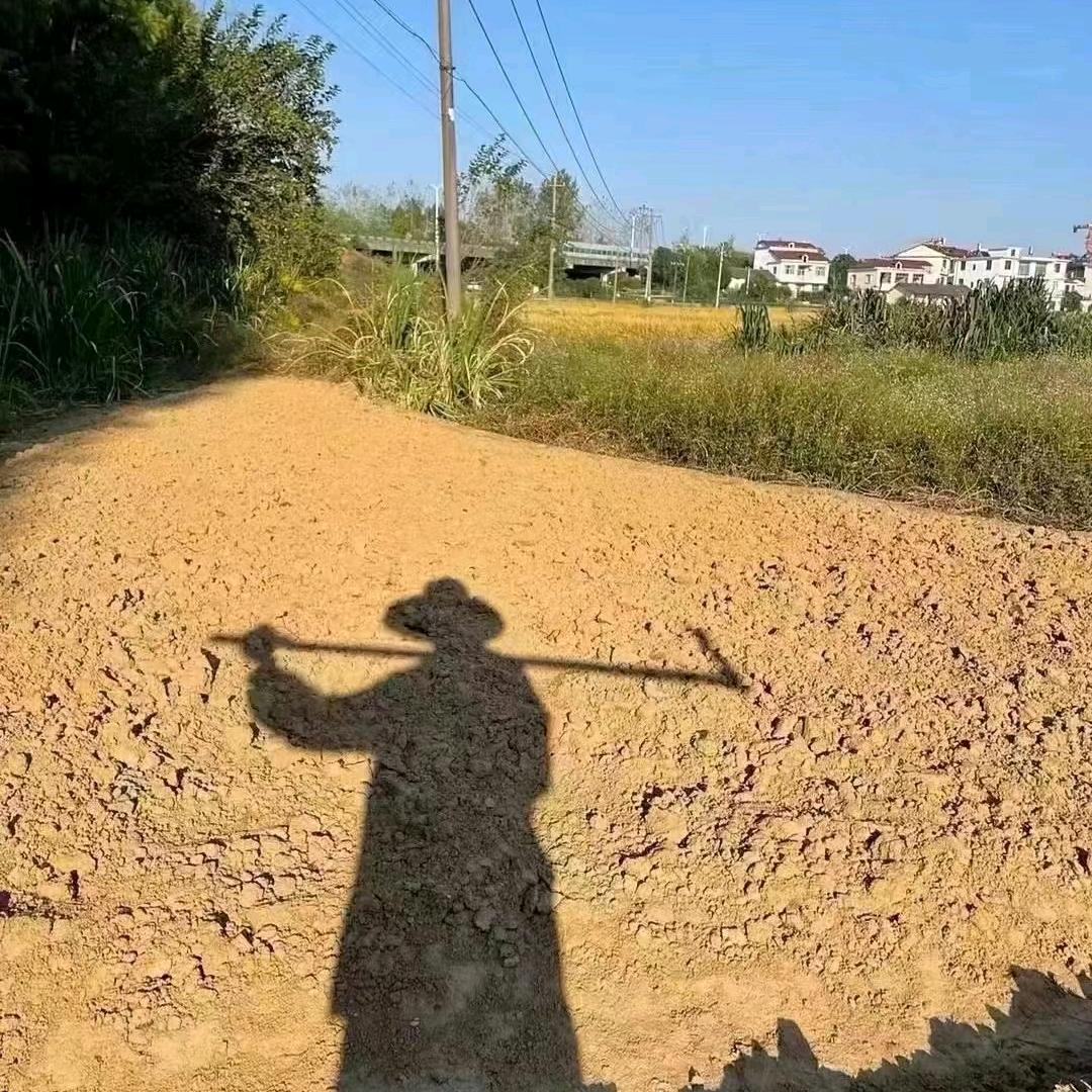 牙疼超人
