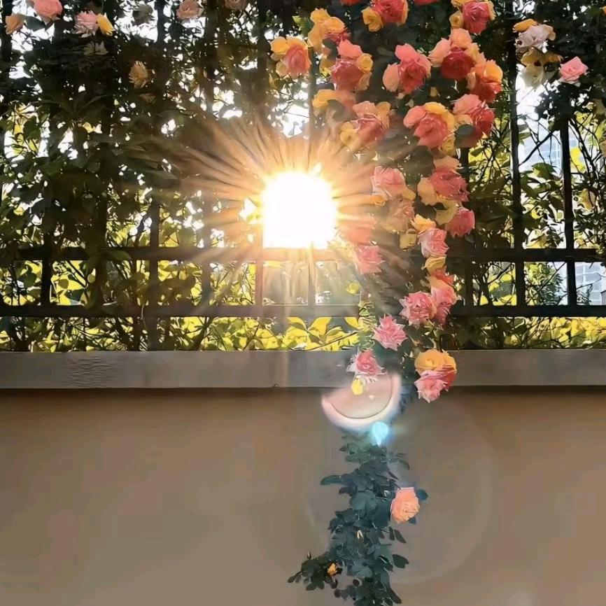 @和🌸