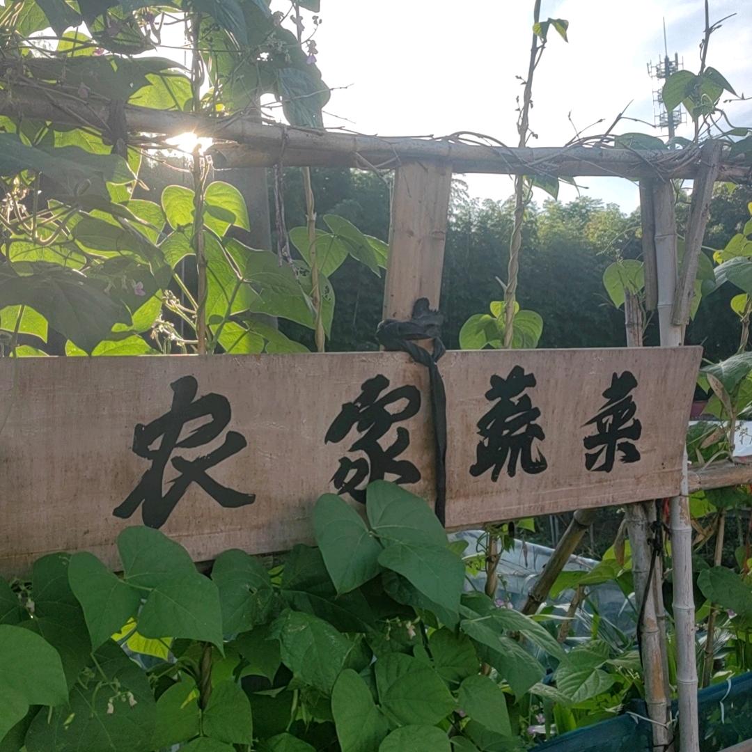 九月微风