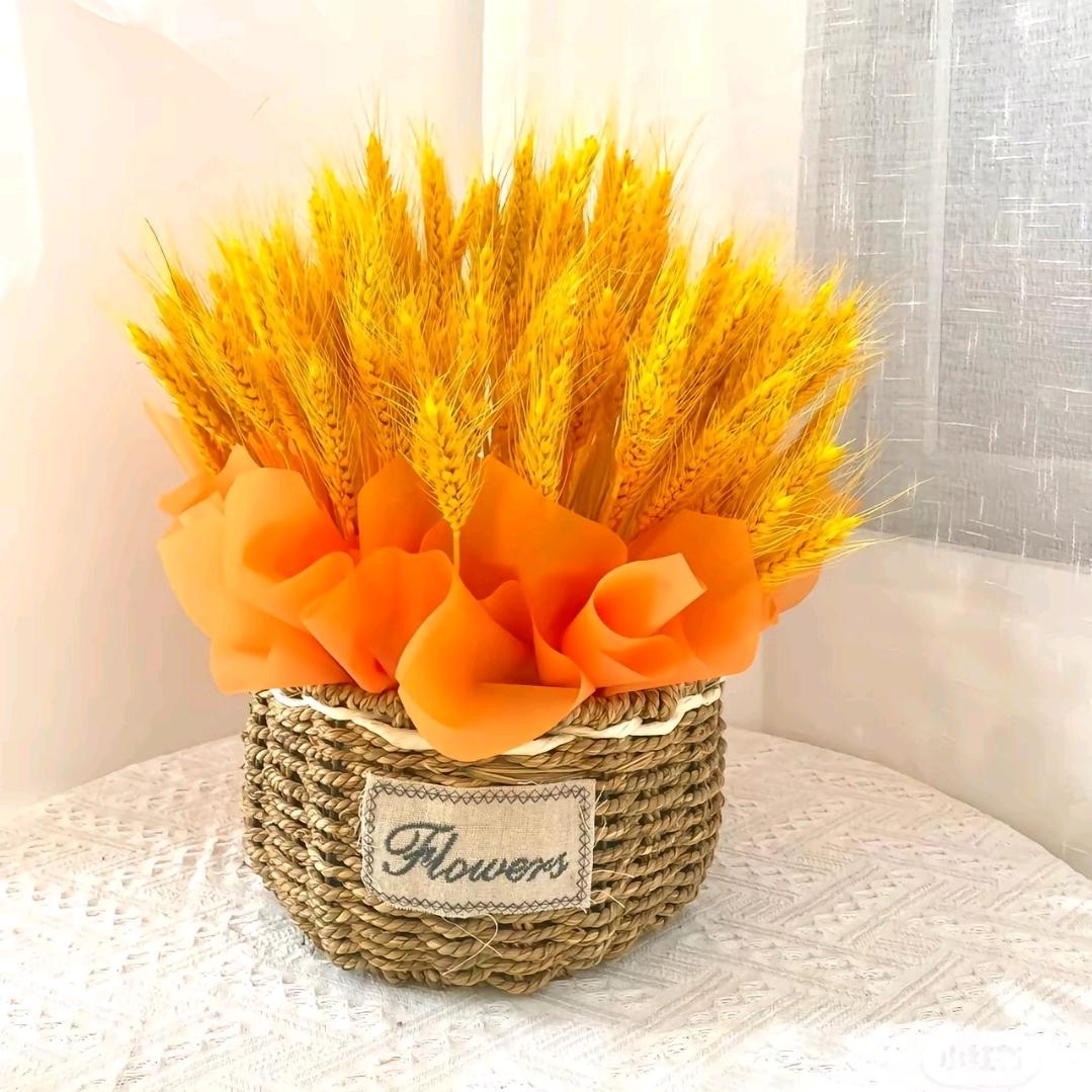 家电推荐（小余）