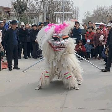 许昌鄢陵张飞小白狮舞狮团