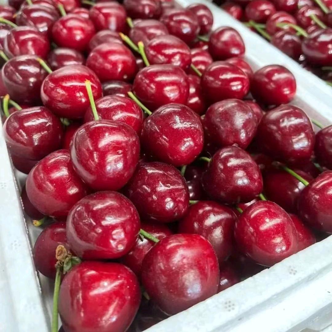 相氏生态农业合作社