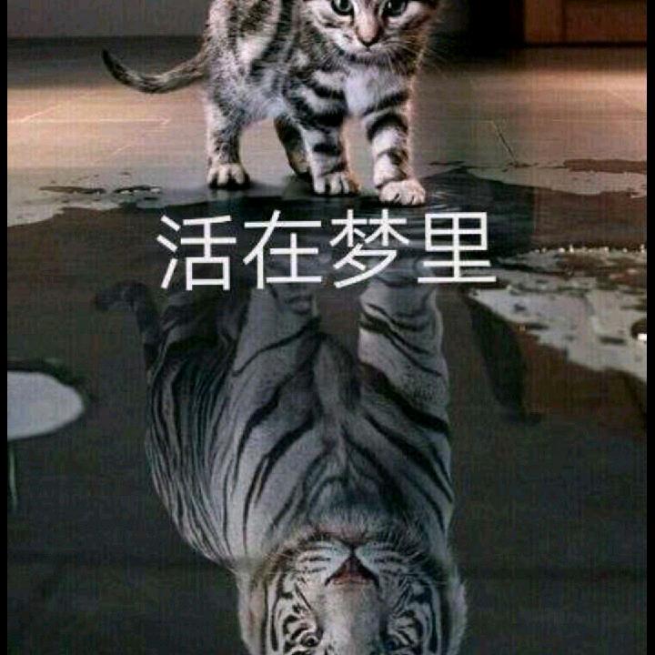 睡醒了再说