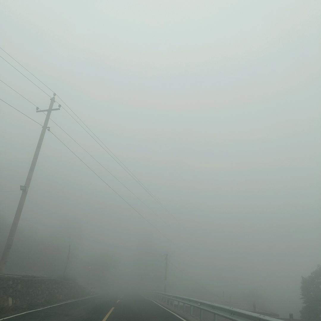 琴琴爱分享