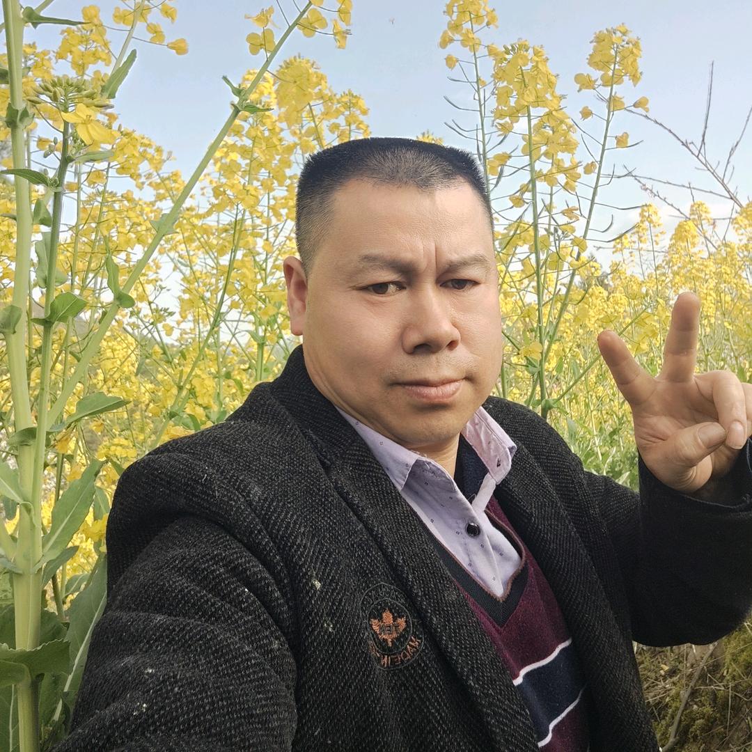 陈平电器