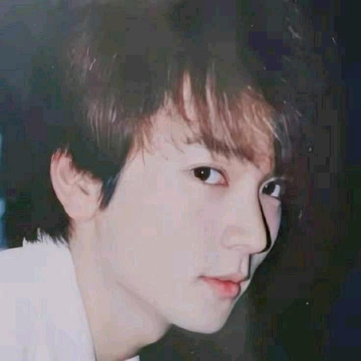 鲍鲍