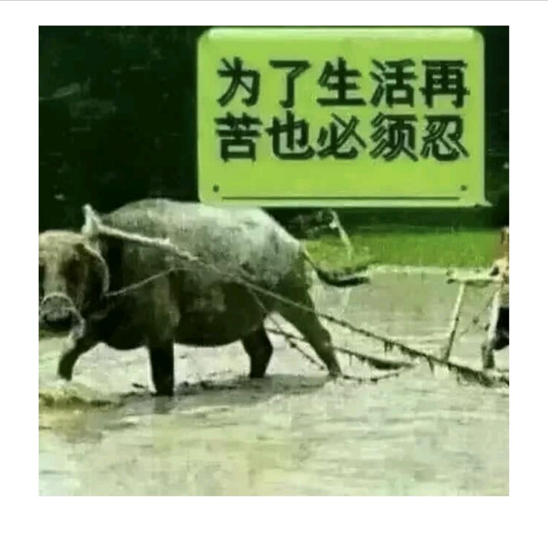 新善仁家