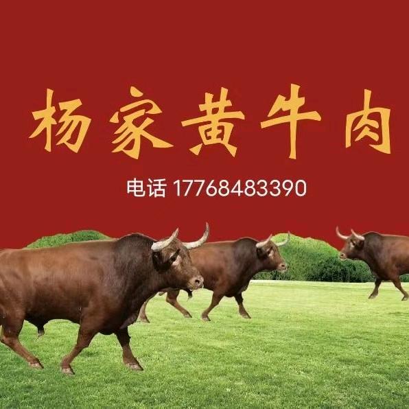 杨家黄牛肉