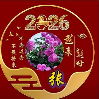 文全记录生活