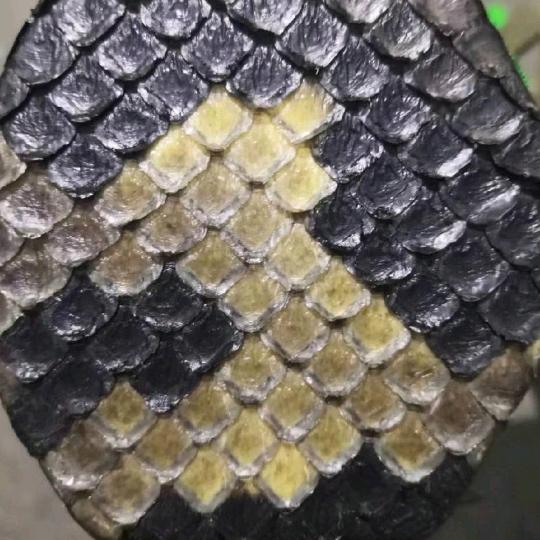 苏式二胡，中高端制作。