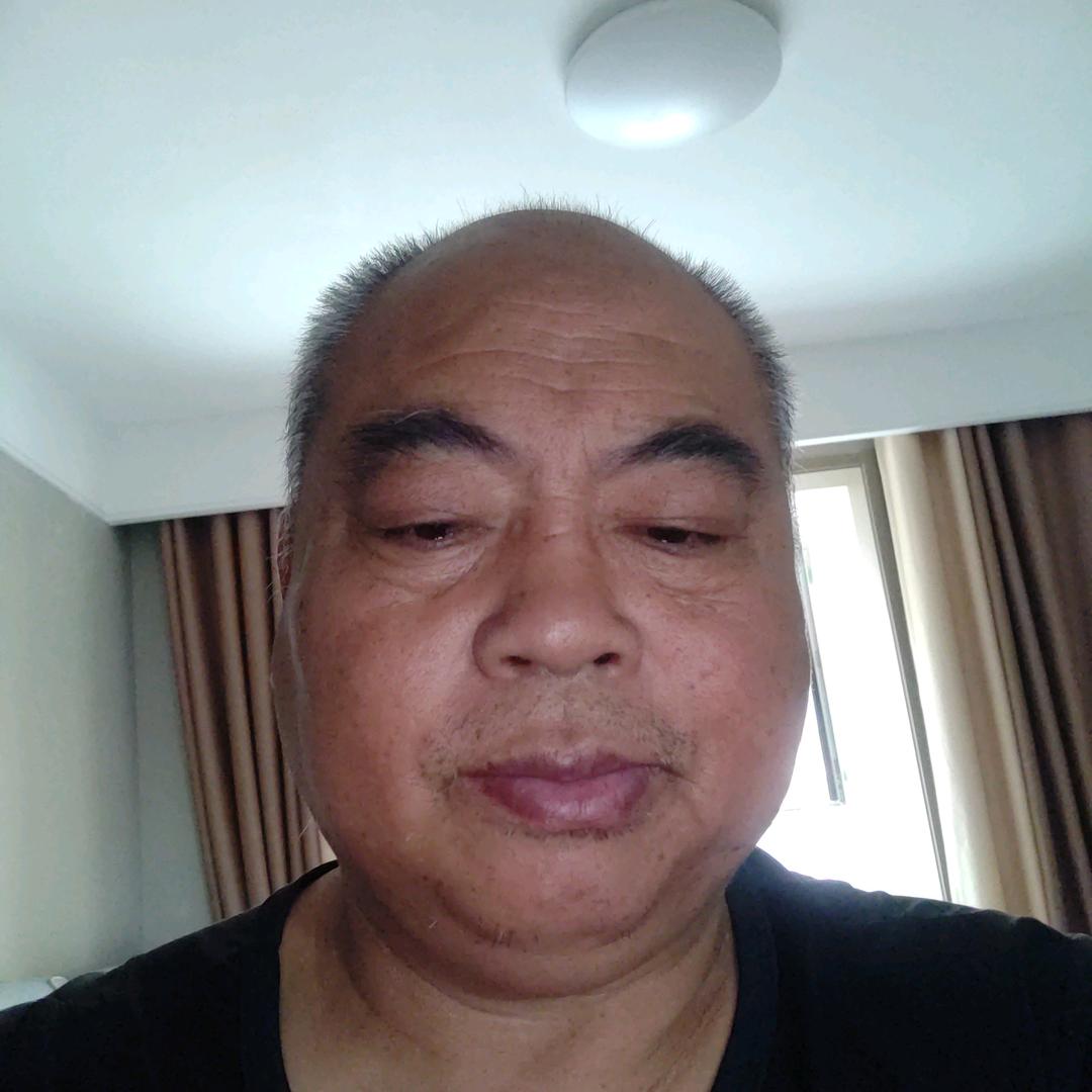 树桐6583