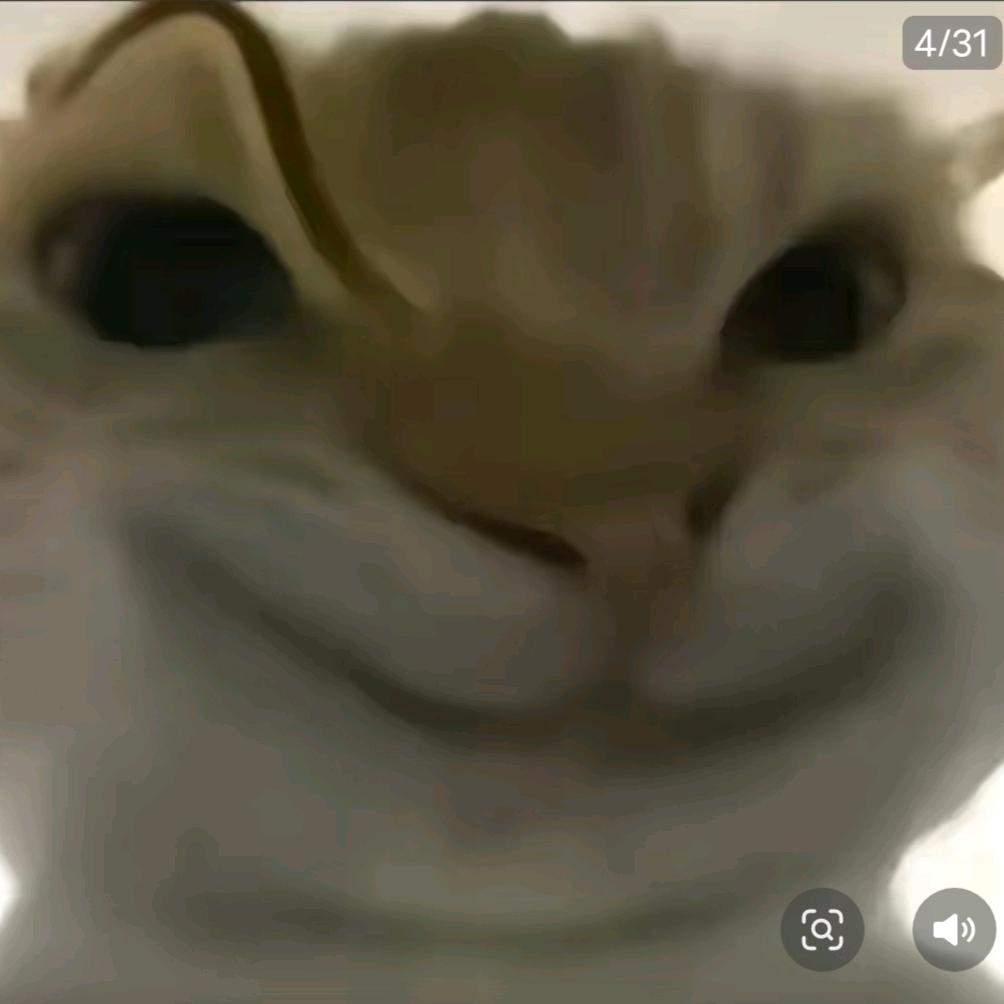 老鼠