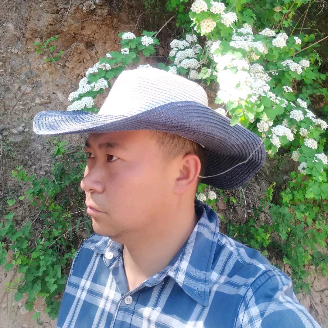 农村张某人