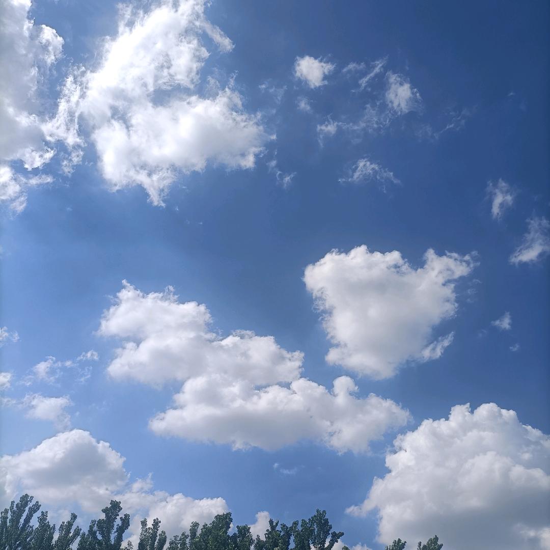 阿咩咩