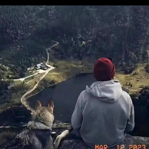 Tt