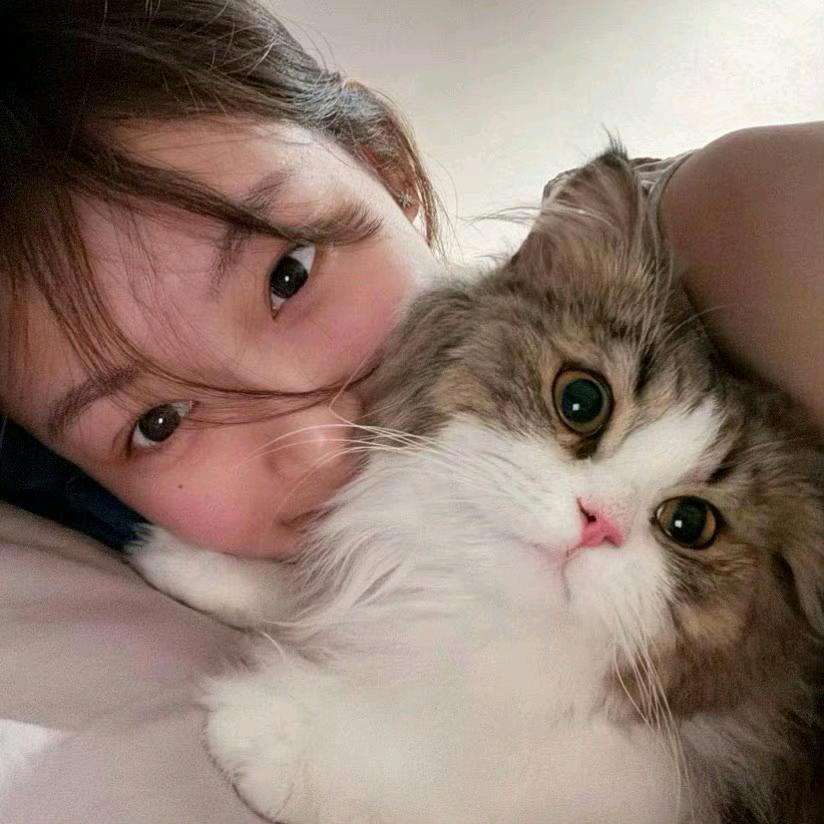 养只小猫^