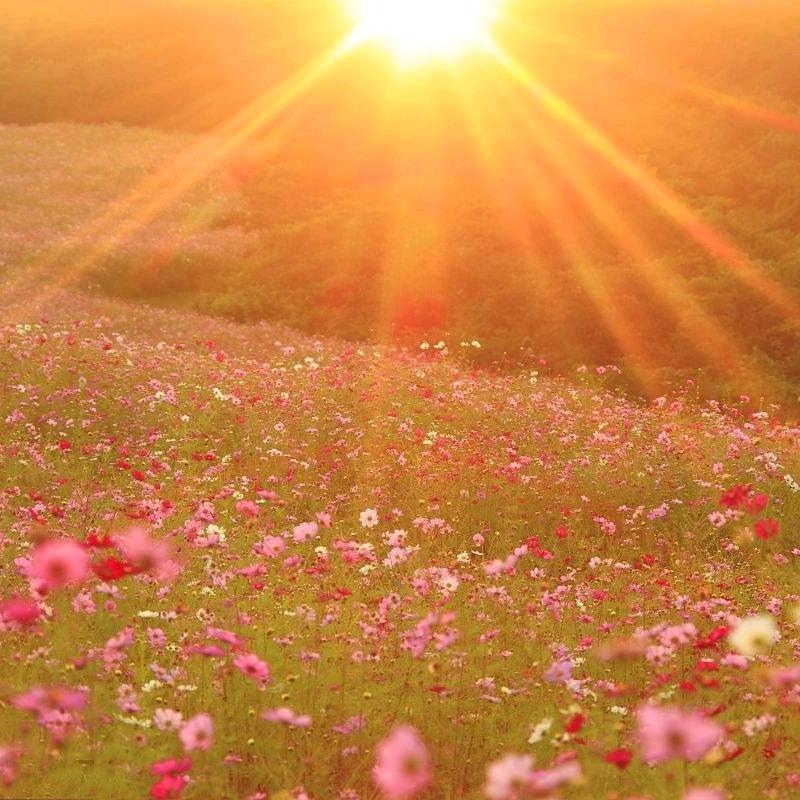 光芒四射☀️～～～🇨🇳