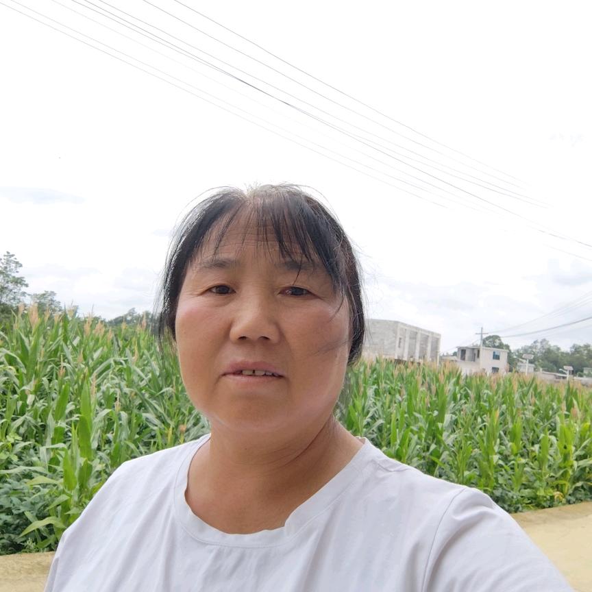 杨姐