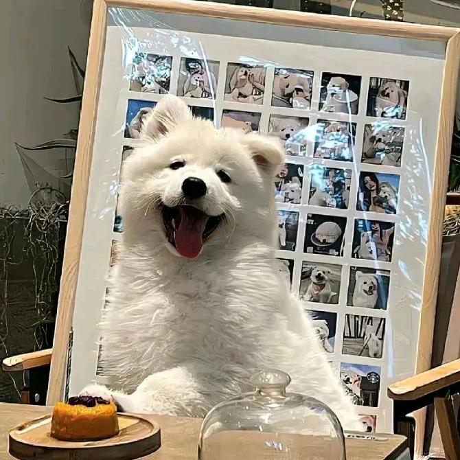 嘎嘎嘎乐
