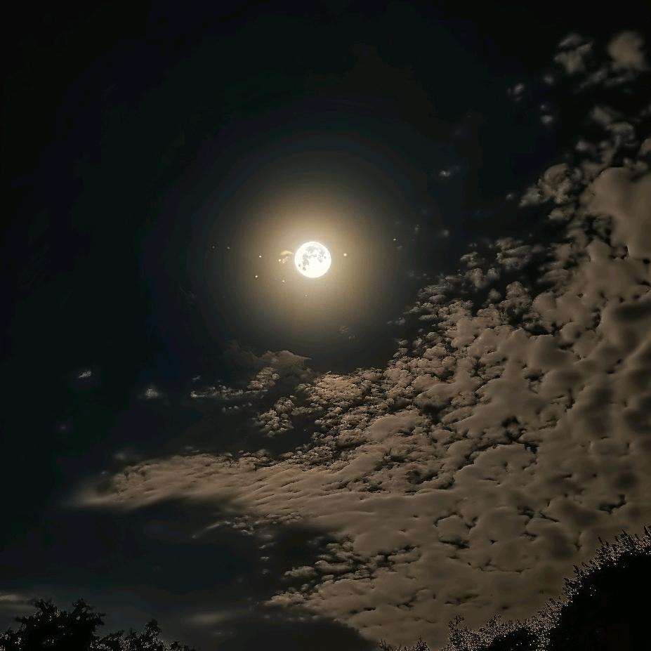 镜哥.....乡愁治愈系sys