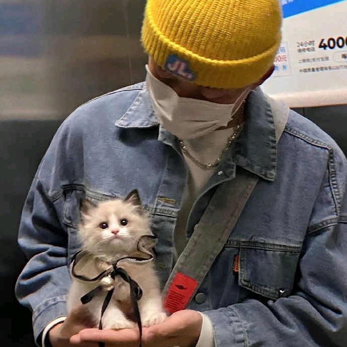 阿宾茶智慧