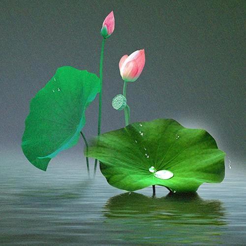 ✨💕ꦿ᭄随遇而安✨༉ᩚ᭄