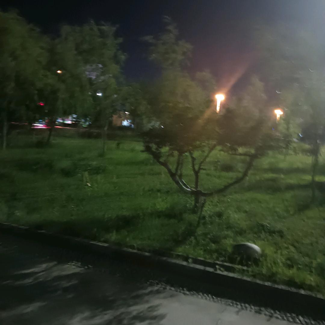 用户4978009609400