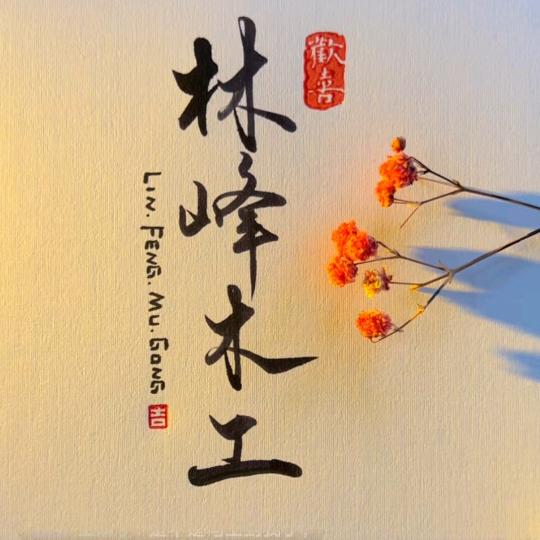 林峰木工全屋整装门窗
