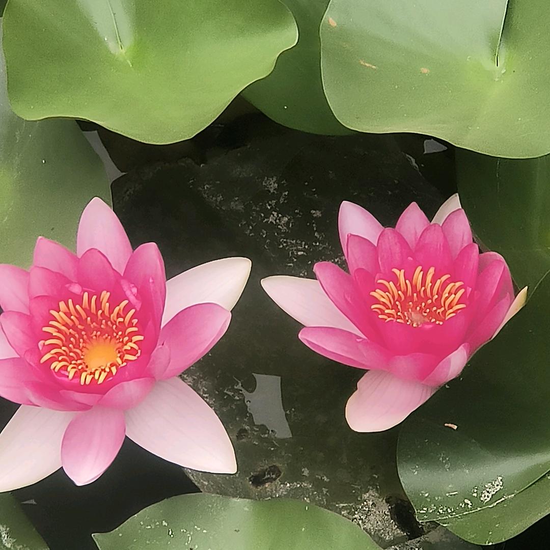 磨淡一切记忆