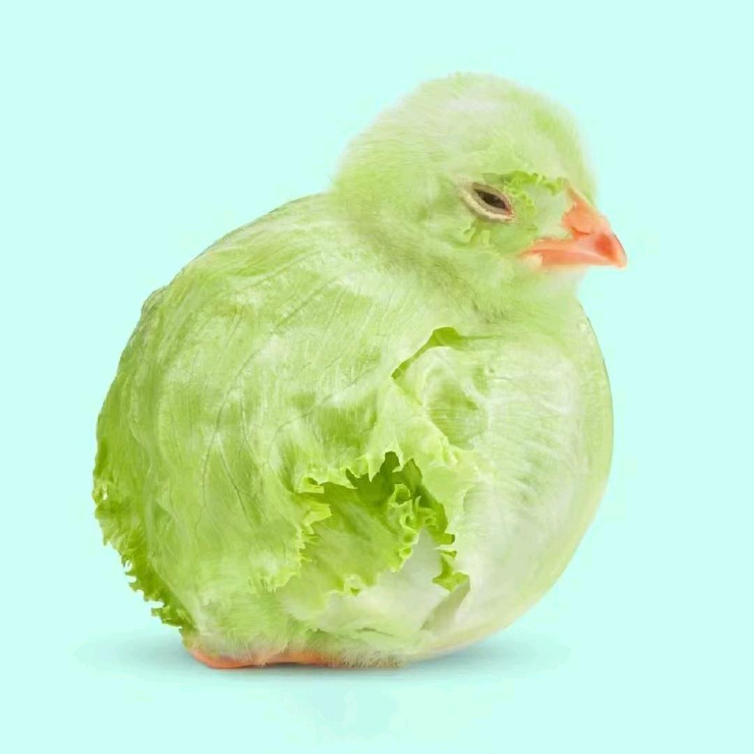 丢丢丢