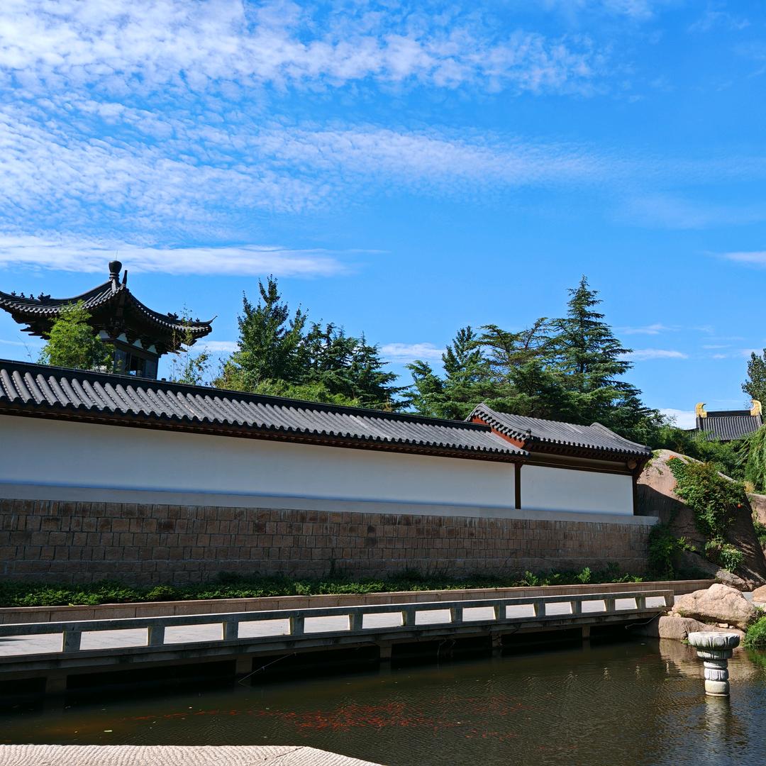 不夜城🛸Dream_L