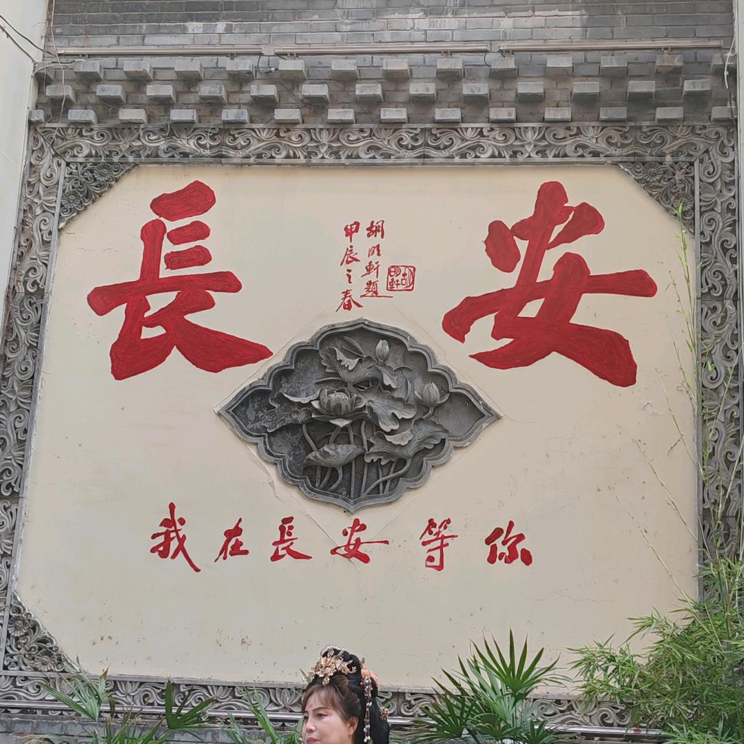 怪物🇰🇬专业拍浆拉毛