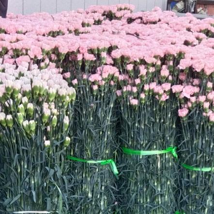 缘（｡ò ∀ ó｡）