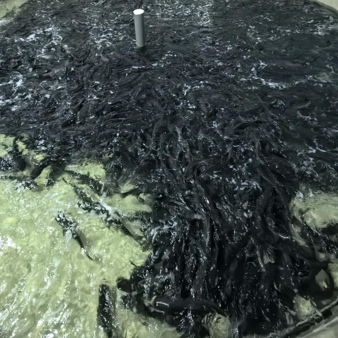 丹江渔乡