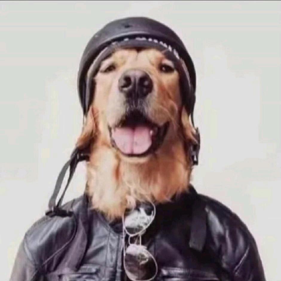 ดินสอสี