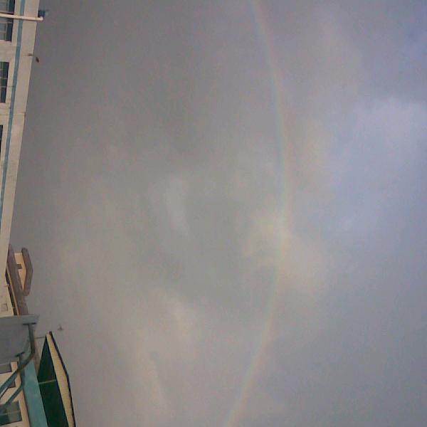 再见~只是陌生人