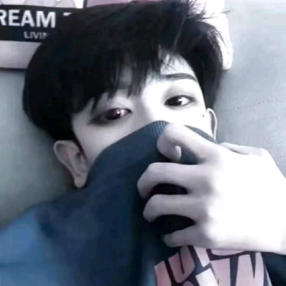 波仔——免费介绍