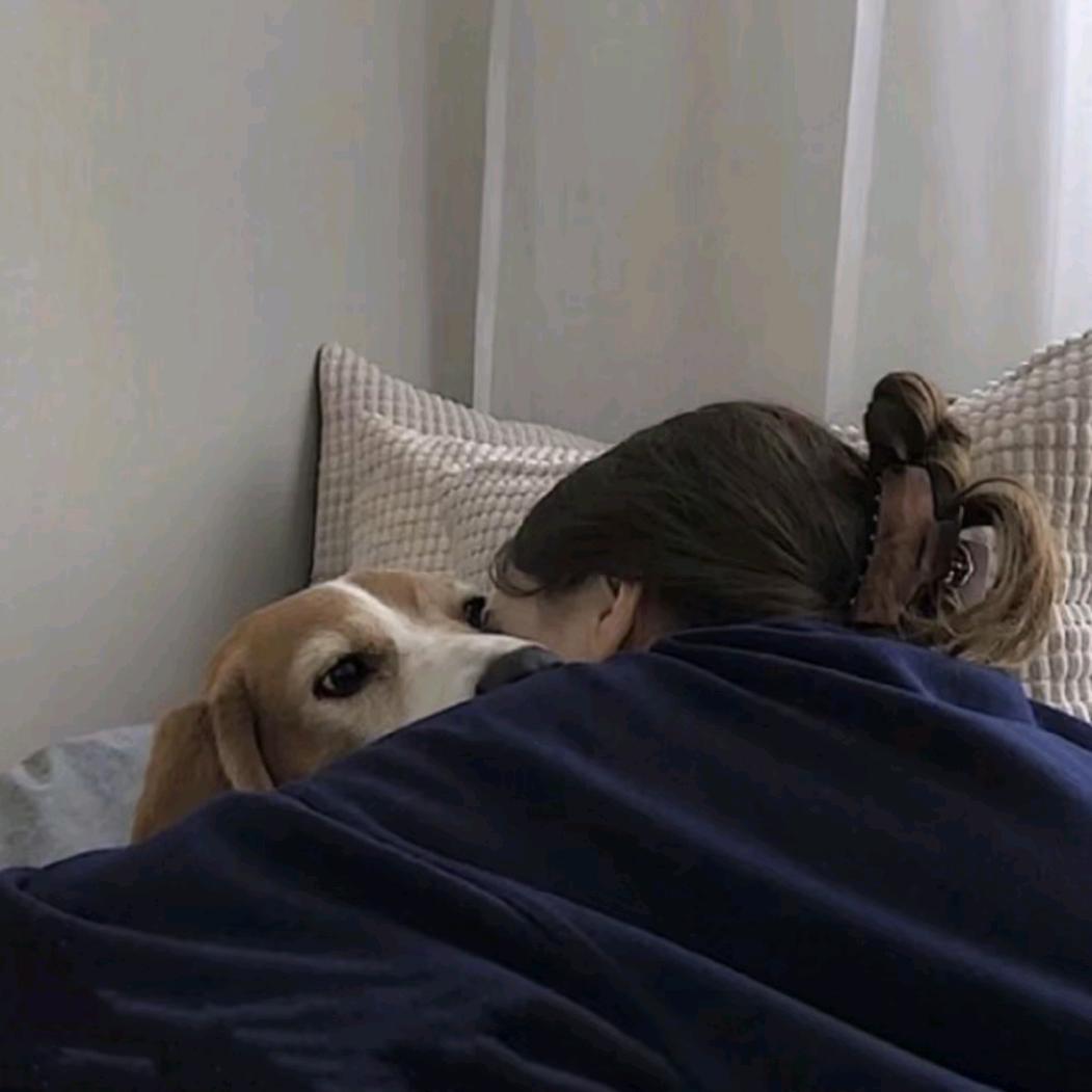 落汐养猪户